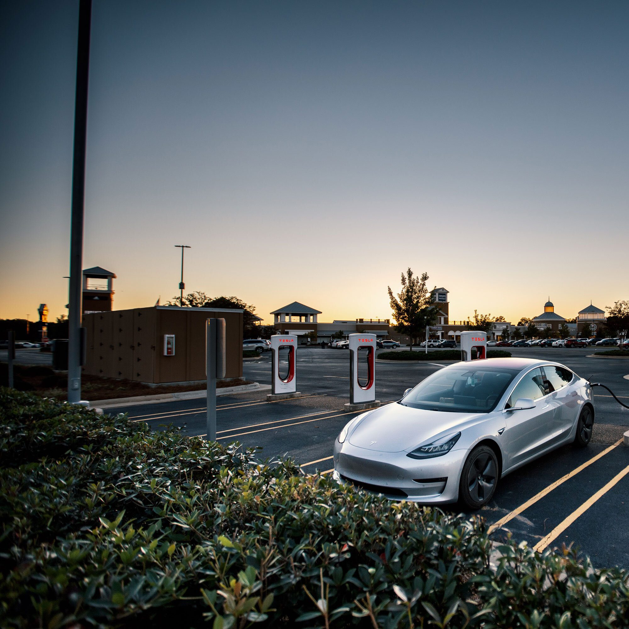 tesla bros contact