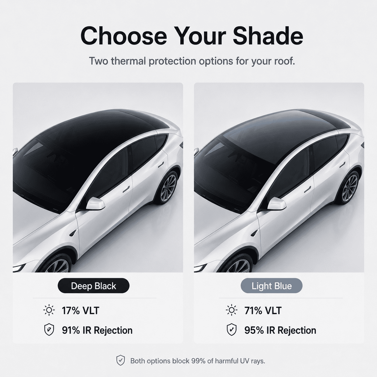 Model Y tinted roof ppf